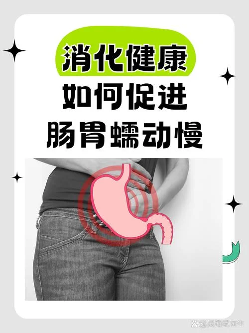 肠胃蠕动慢不消化便秘怎么办_2