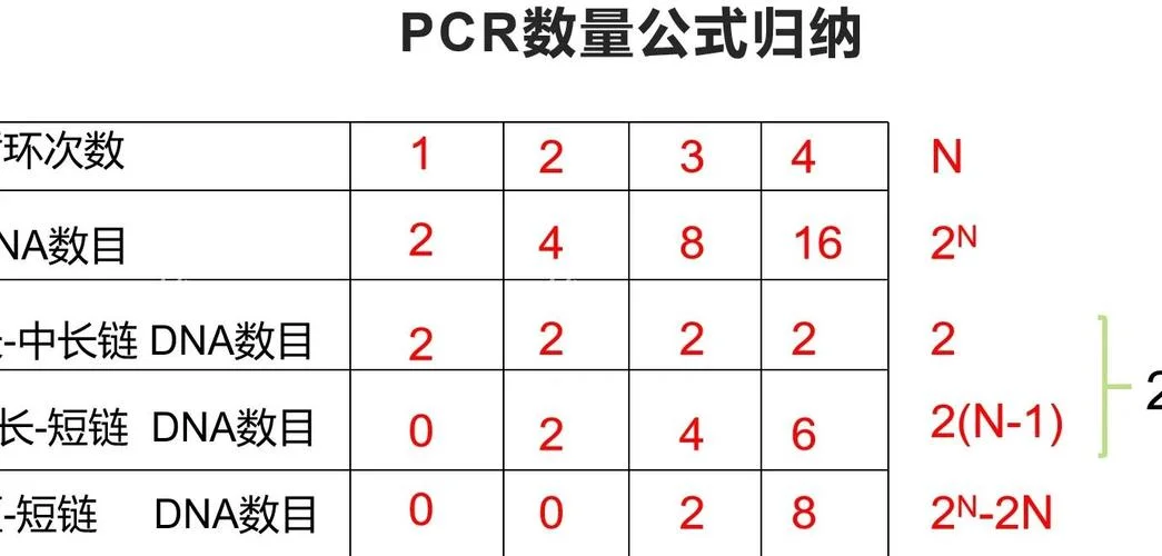 基因频率的公式_2