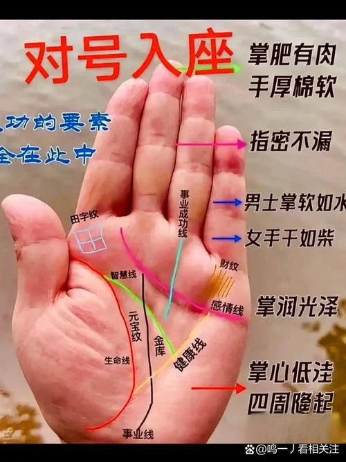 八字算事业运势-八字算事业运势