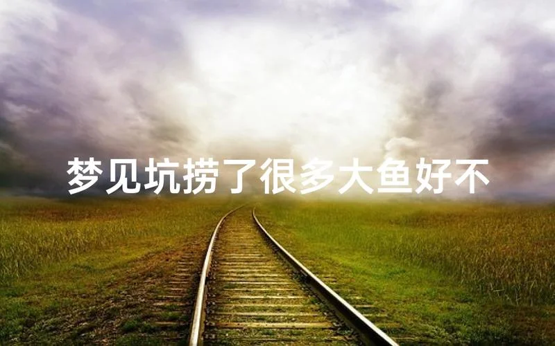 梦见很多很多的大鱼_1