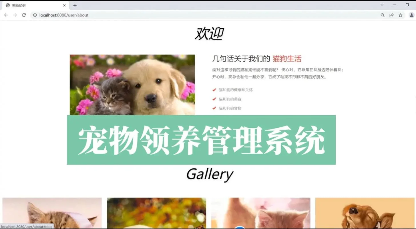领养宠物是什么意思_1