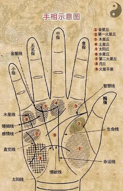 看手相免费算命_1