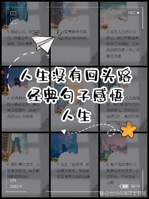 人生哲理故事及感悟_1