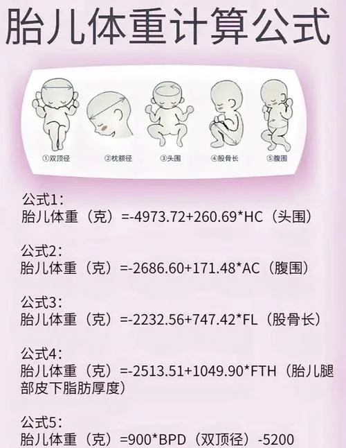 胎儿大小在线计算公式_2