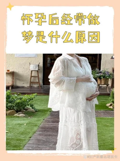 怀孕了老做梦_1