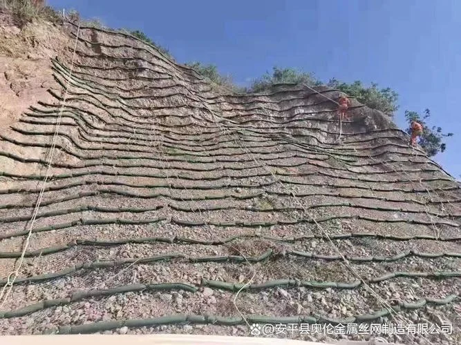 喷播植草多少钱一个平方_1