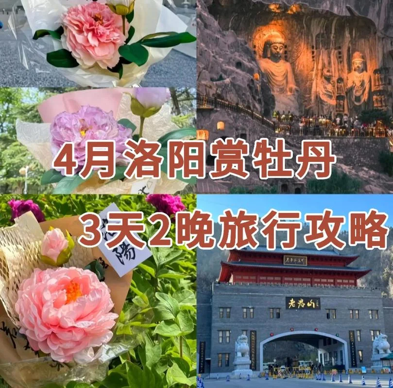 洛阳冬季三天旅游攻略-洛阳冬游三日游