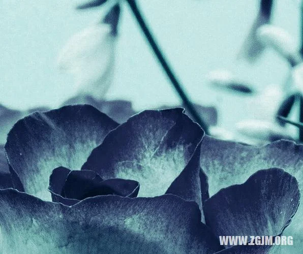 梦见已经死的人还活着_2