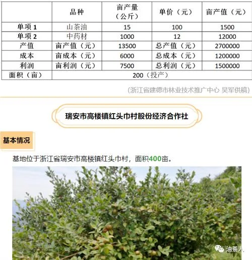 国家征收山多少钱一亩-国家征收山亩多少钱