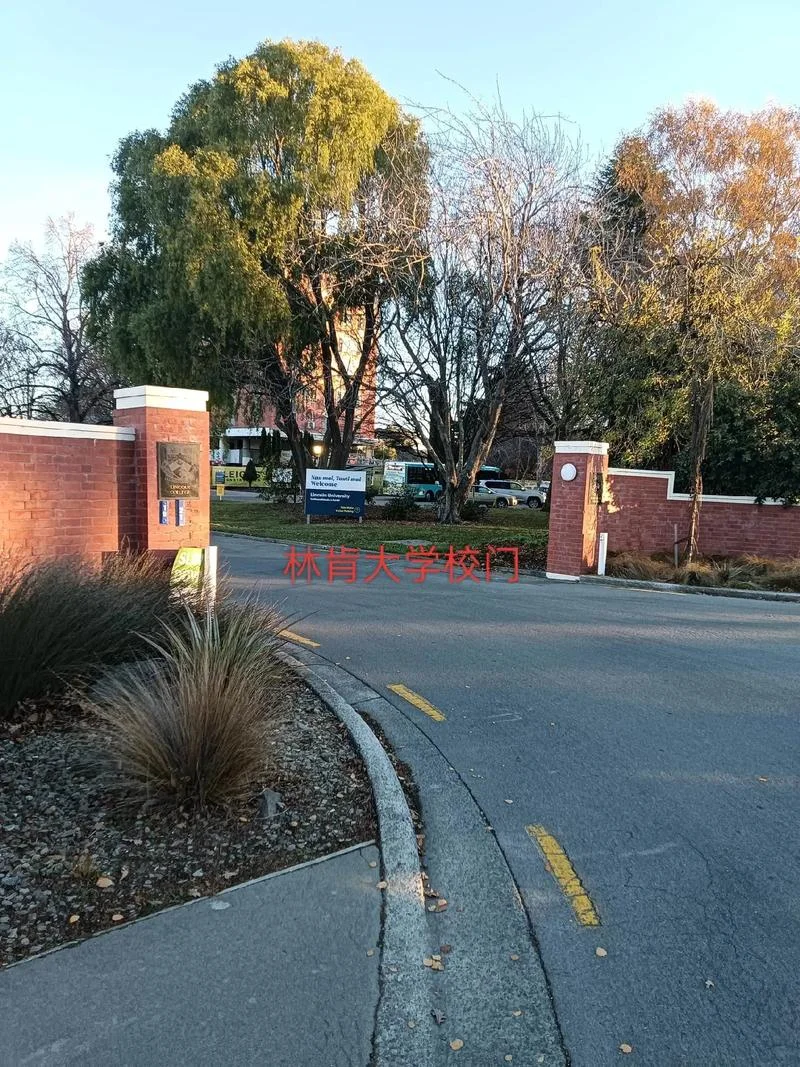 林肯大学英国_2