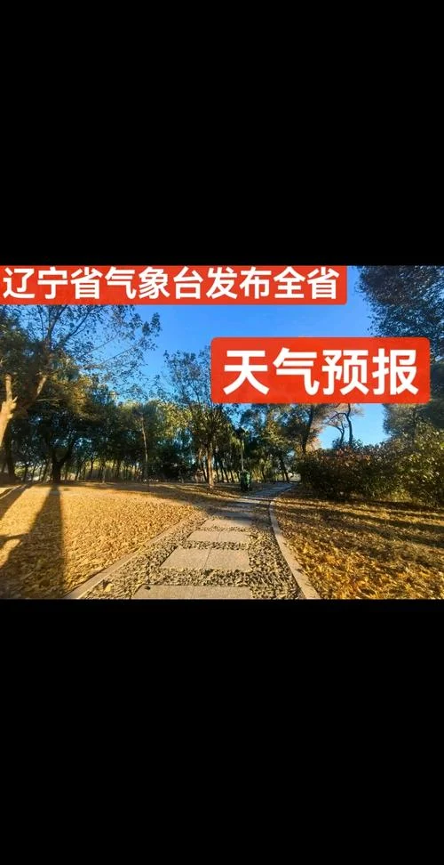大连天气历史天气_2