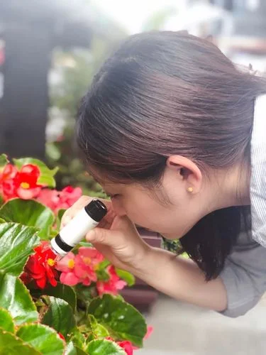 直接观察_2