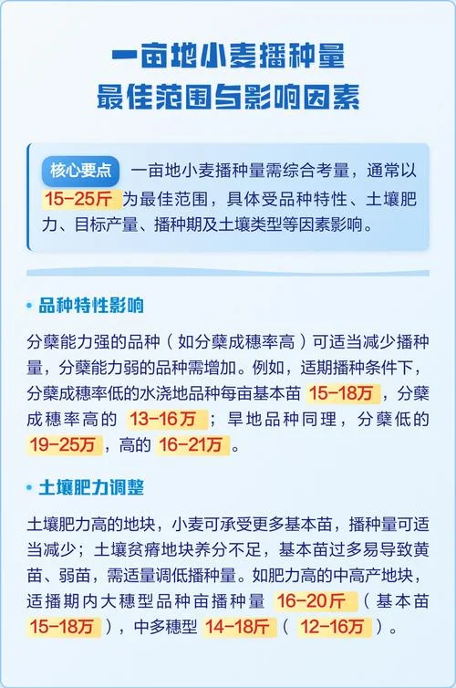 一亩地可以产多少小麦-一亩地产多少小麦