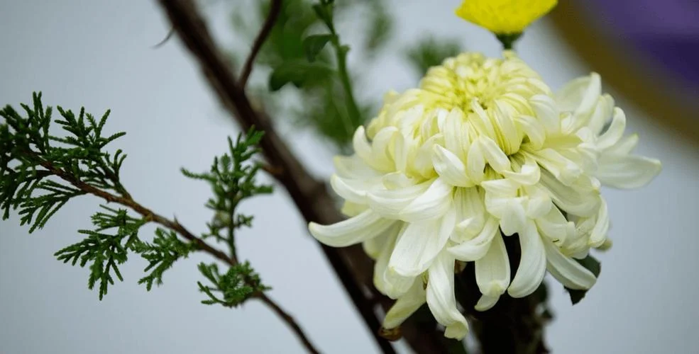 梦到被别人爆菊花_1