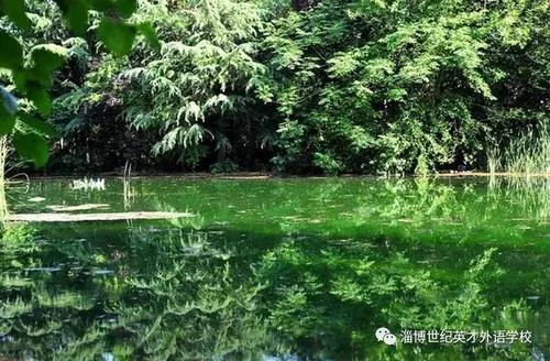 美丽硬道理-美丽硬道理