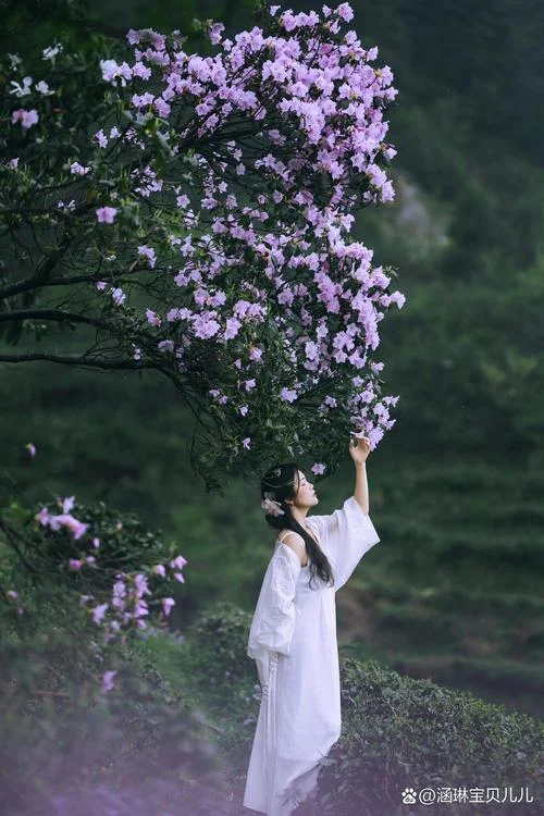 裙裾微动摇的下一句-裙裾微动下一句