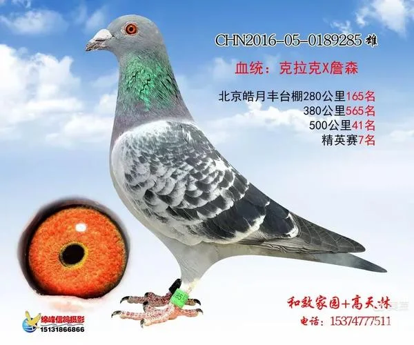 皓月公棚成绩单_1