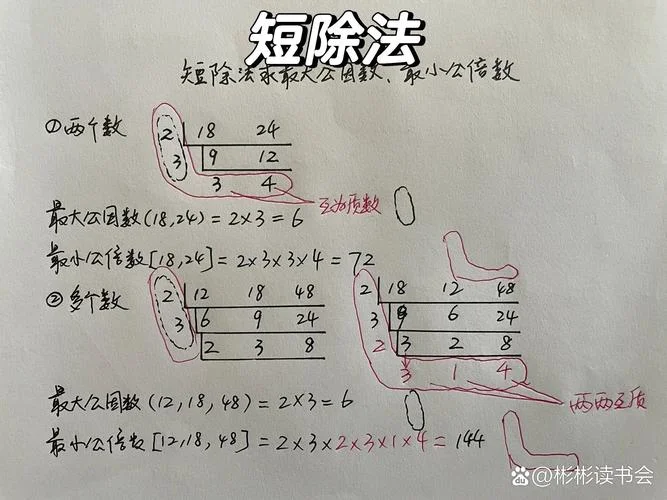 最小公倍数怎么求 公式_1