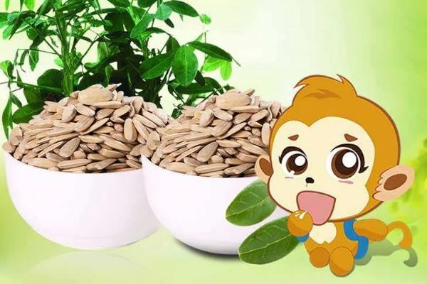 女人梦见给别人分瓜子_2