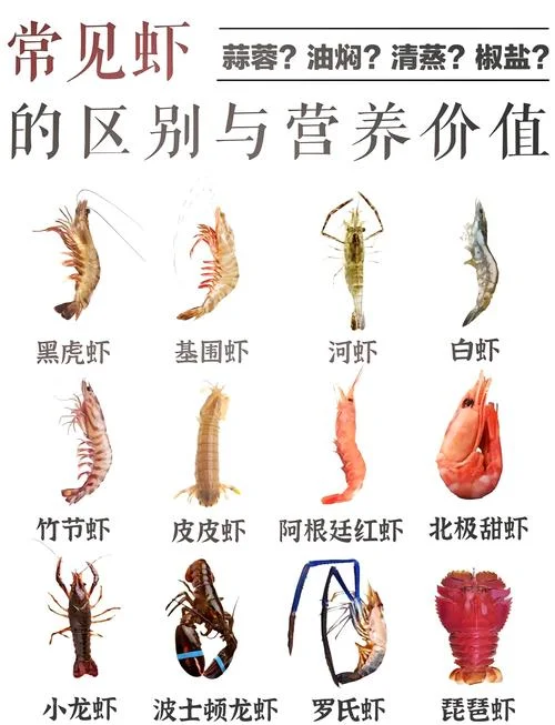 几月份放小龙虾虾种_1