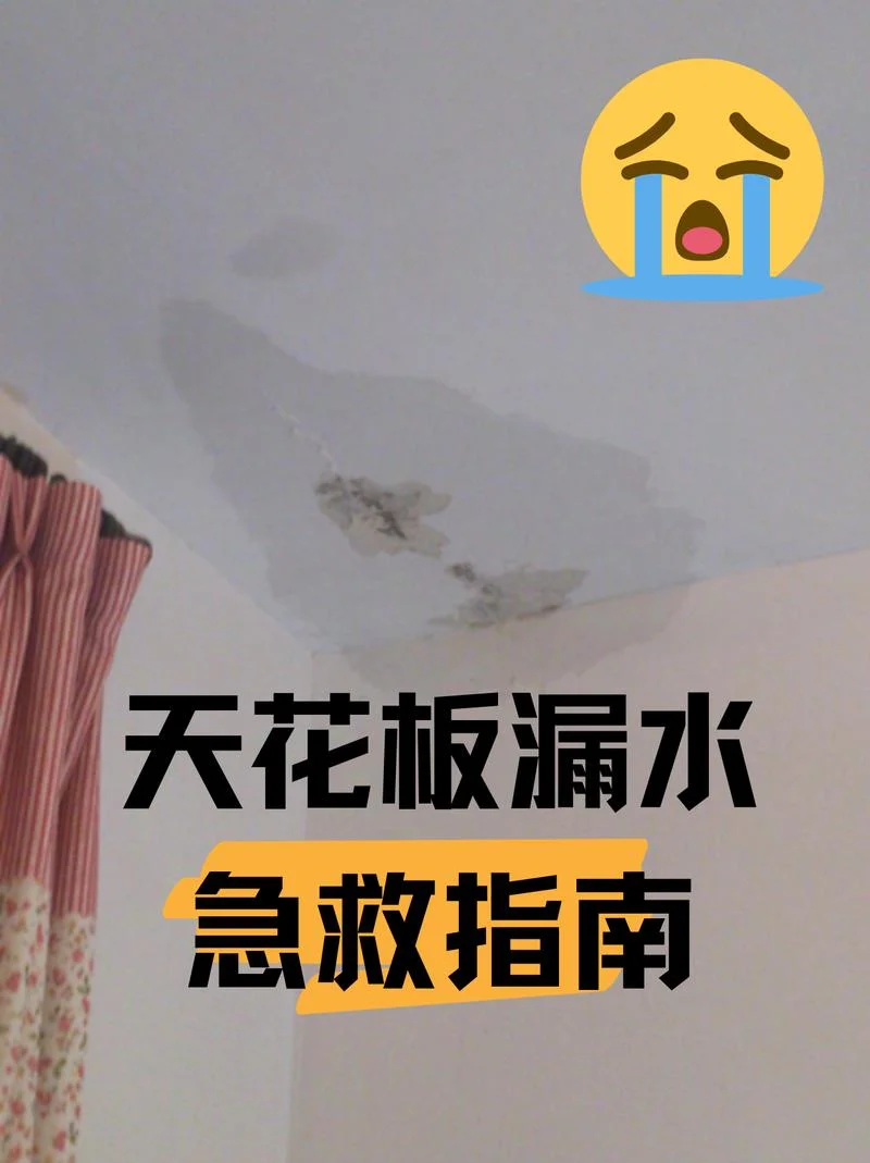 梦见卧室天花板漏水_2