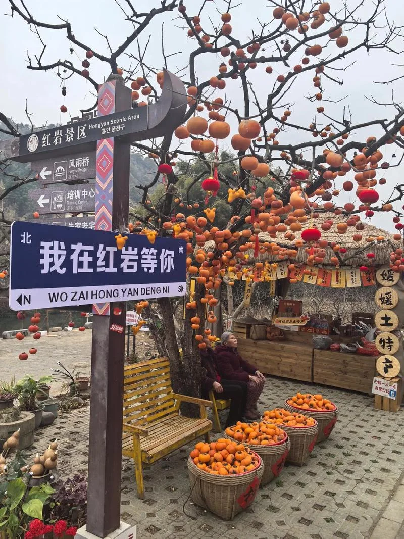 恭城是哪个省_1