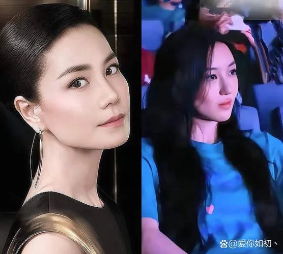王菲哪年离的婚_1