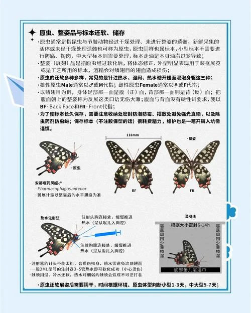 蝴蝶定理是什么意思-蝴蝶定理含义详解