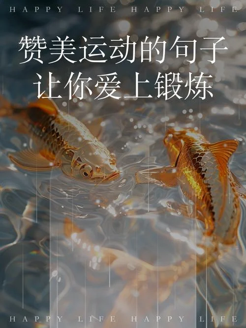 运动是绝对的永恒感悟_1