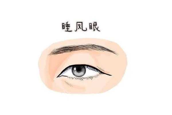 半睡眼面相-半睡眼面相
