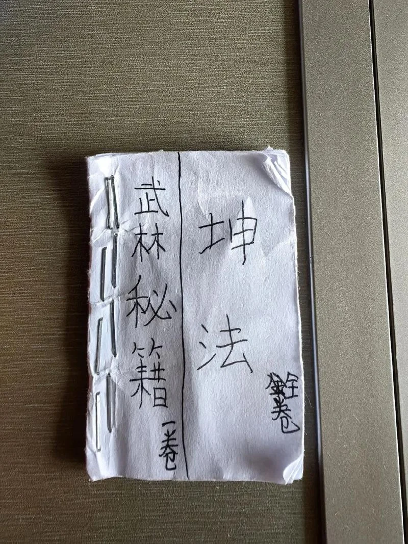 武功秘籍怎么写_1