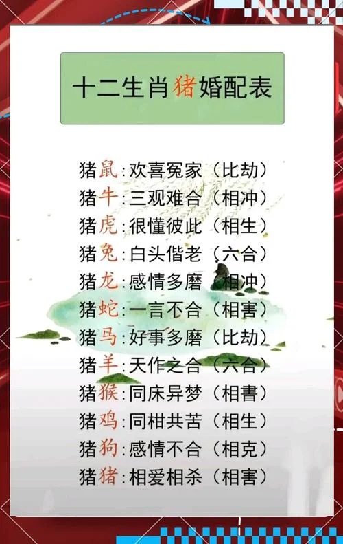 什么属相最配_1
