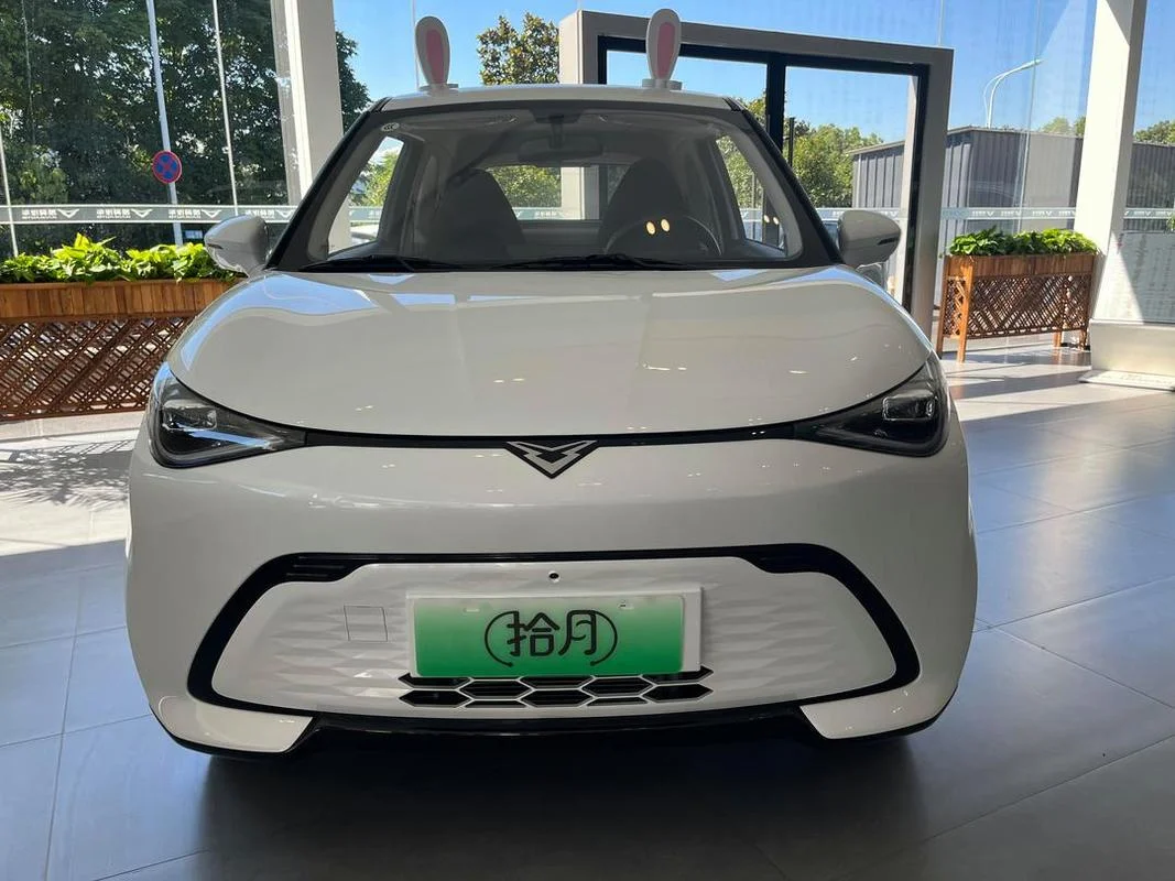 凯翼e3多少钱_1