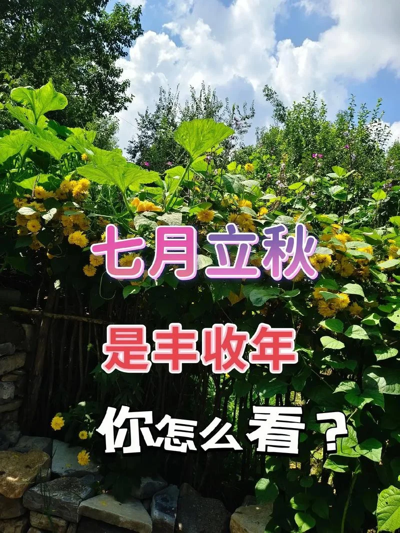 1996年立秋几月几号_1