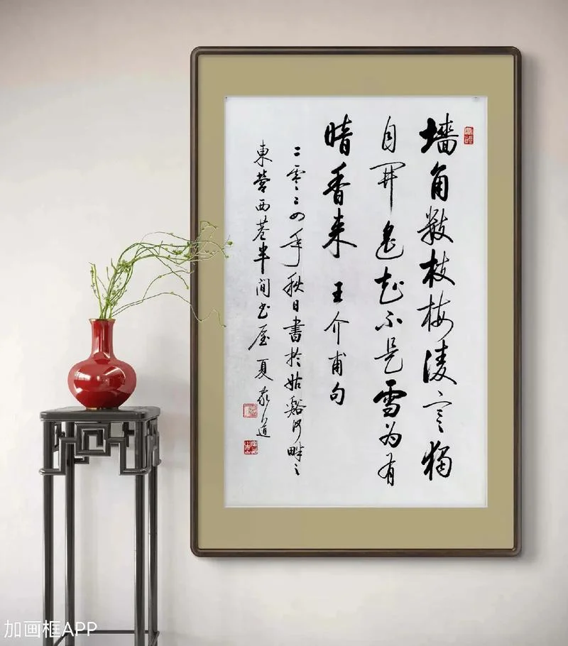 墙角数枝梅是什么意思_1