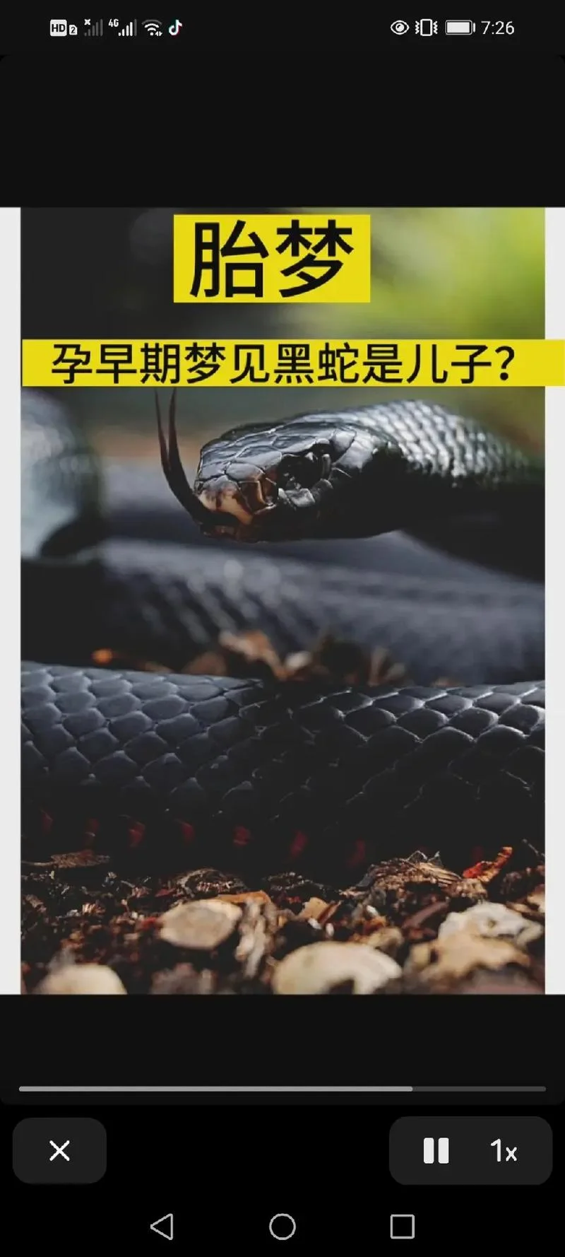 产妇梦见蛇咋回事_1
