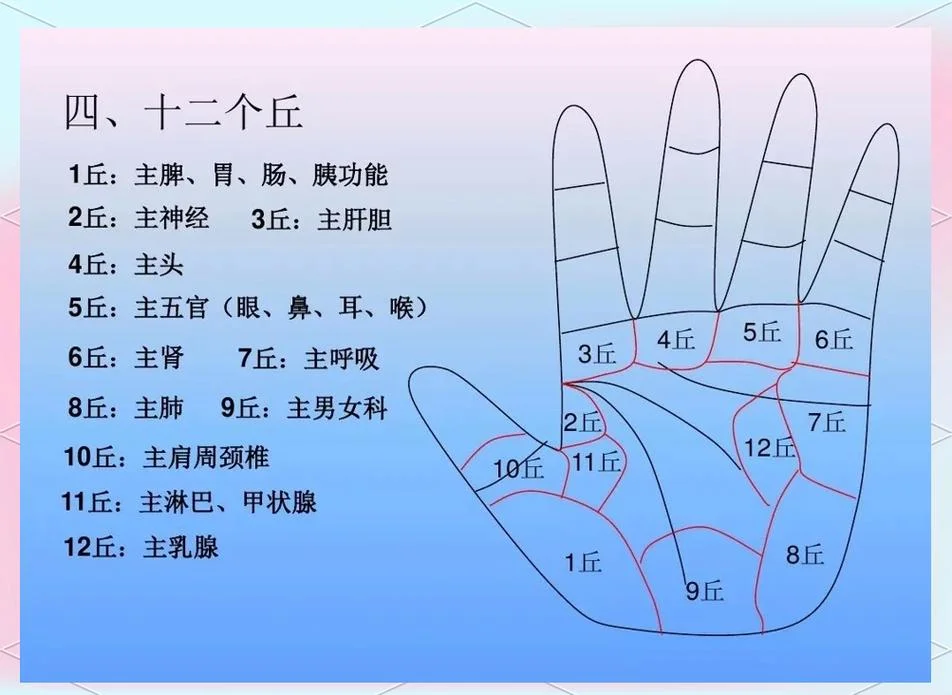 手相学常见各种纹图解-手相纹图解常见