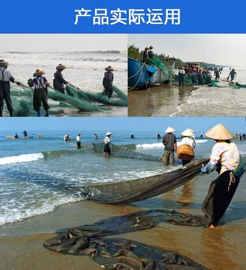 梦见用网捕鱼_2
