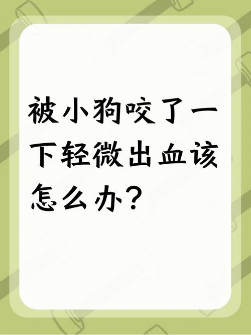 梦到被狗咬伤报警_2