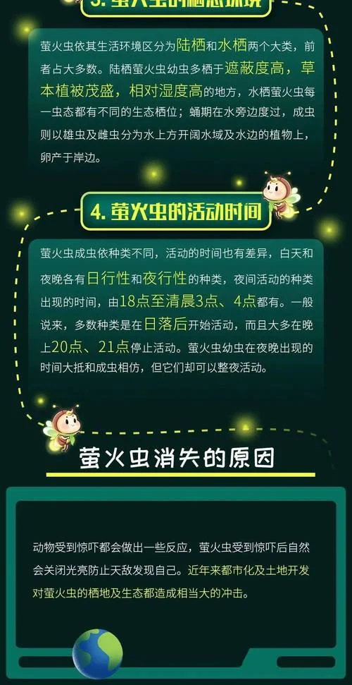 萤火虫电影介绍-萤火虫电影简介