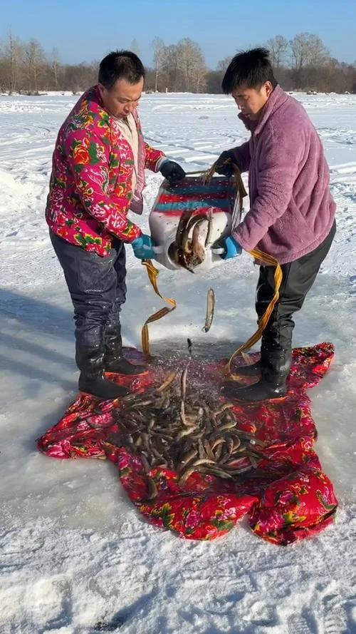 梦见雪景里抓鱼_1