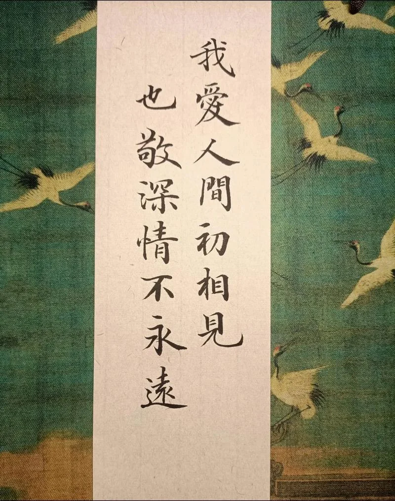 我爱你有始无终下一句_2