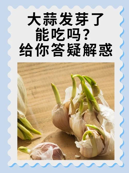 梦见数大蒜什么意思_1