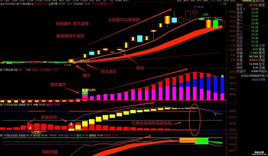 金股池选股指标公式_2