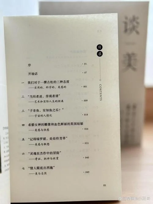谈美书简读后感200_2