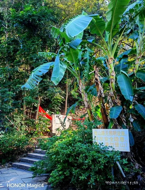 广州凤凰山森林公园在哪里-广州凤凰山森林公园位置