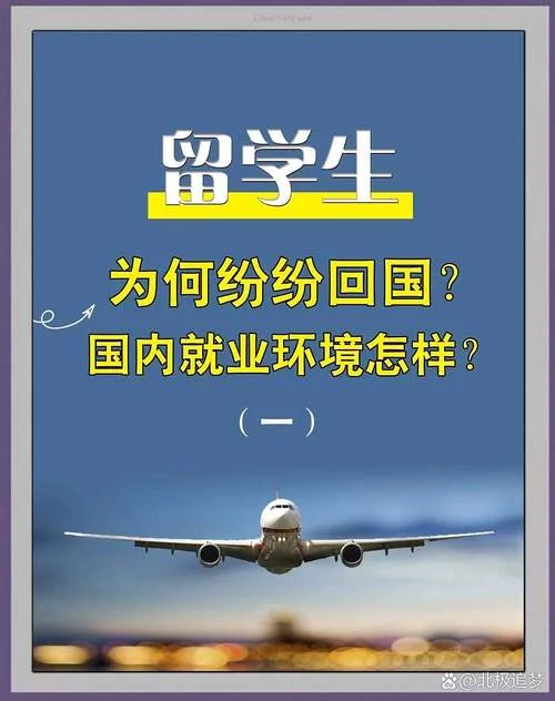 2022年留学生回国率_2