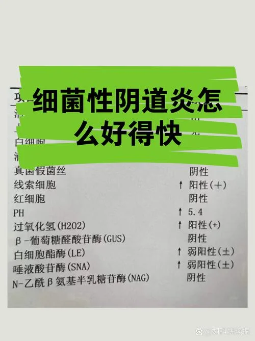 细菌的菌怎么写_2