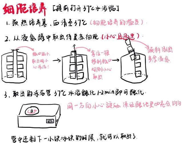 液基细胞学检查怎么做_1
