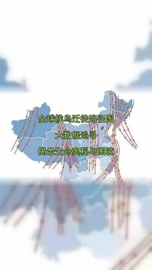 鸟类迁徙时间是几月-鸟类迁徙时间为几月